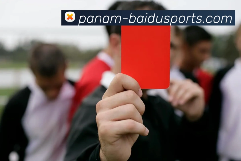 百度体育APP 封面图